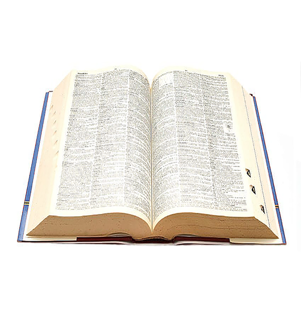 Reading Foundational Skills