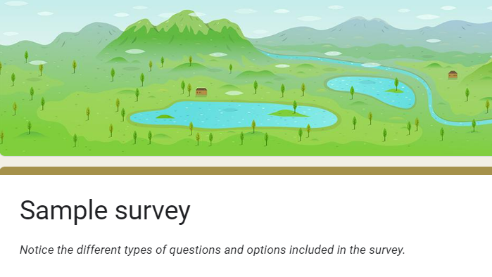Top portion of Sample Survey.